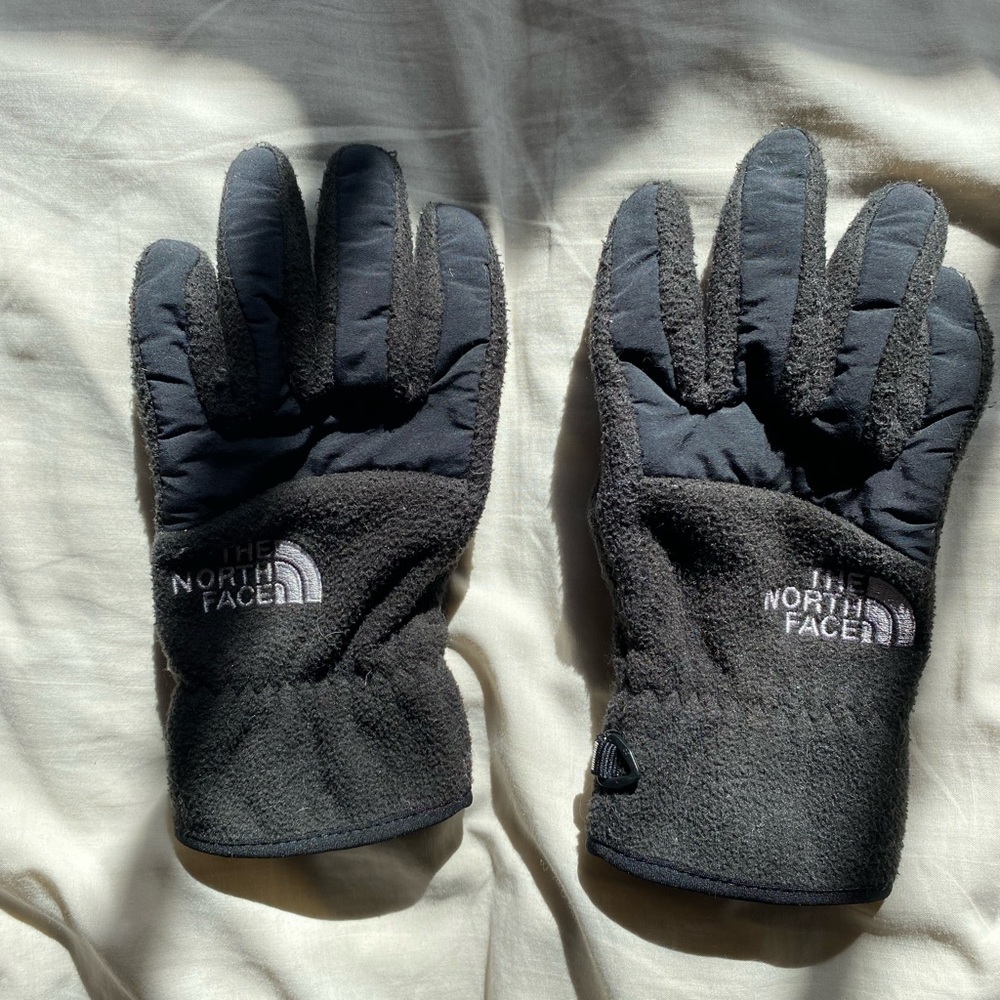 The North Face Gloves
